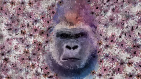 Carta da parati Monkey Kong dai toni viola di Instabilelab